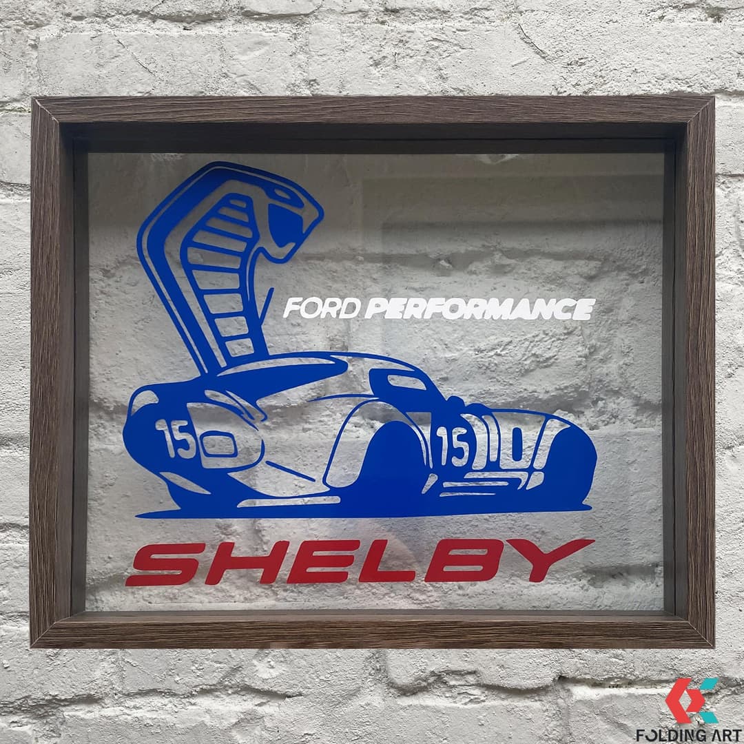 Cadre - Ford Shelby